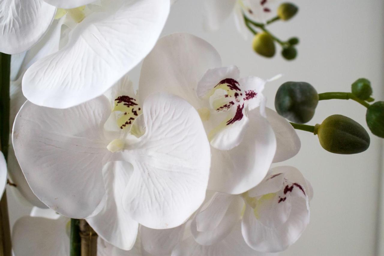 White Orchid Pula Lägenhet Exteriör bild